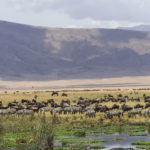 Day Trip to Ngorongoro Crater_1545638633