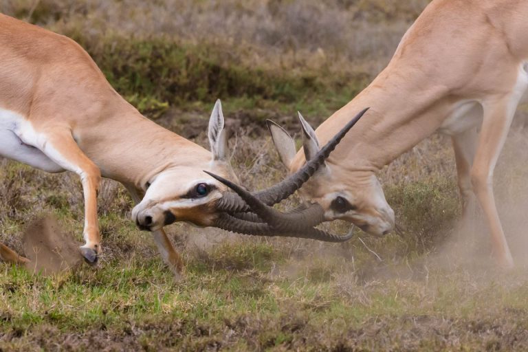 Tour image thumbnail